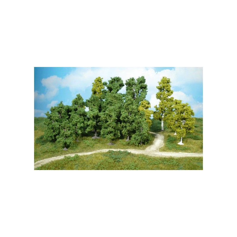 20 arboles de hoja caduca de 5 a 11 cm 1955 HEKI