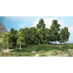 15 árboles de hoja caduca de 10 a 18 cm 1991 HEKI
