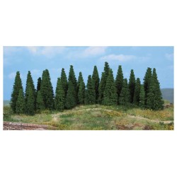 30 abetos de 4 a 7 cm 2240 HEKI