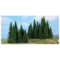 20 abetos de 9 a 14 cm 2242 HEKI