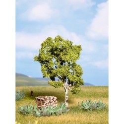 Abedul de 11,5 cm de alto 21640 NOCH