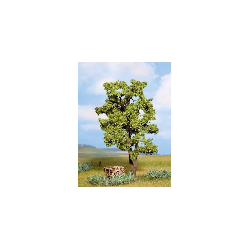 Acacia de 15 cm 21660 NOCH