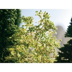 Follaje hojarasca verde oscuro, 50 gr. 07146 NOCH