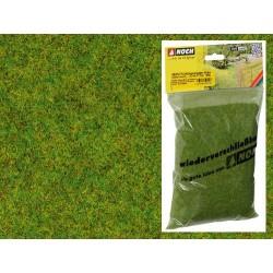 Césped verde primavera de 2.5mm 100 gr. 50210 Noch