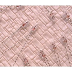 *Lote 10 bombillas 14V 4mm blancas R79 MDT