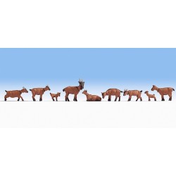 Cabras 15752 NOCH Escala H0