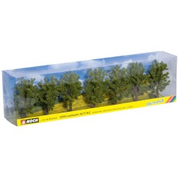7 Arboles 25088 NOCH