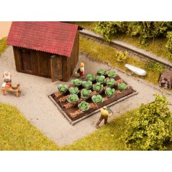 Col blanca, 16 plantas, 3 x 6 cm 13217 NOCH Escala H0