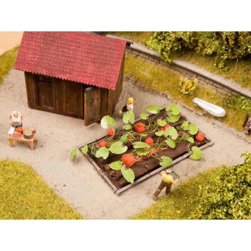 Calabazas, 8 plantas, 3 x 6 cm 13219 NOCH Escala H0