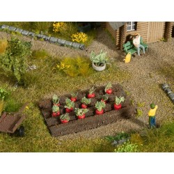Remolacha, 12 plantas, 3 x 6 cm 13221 NOCH Escala H0