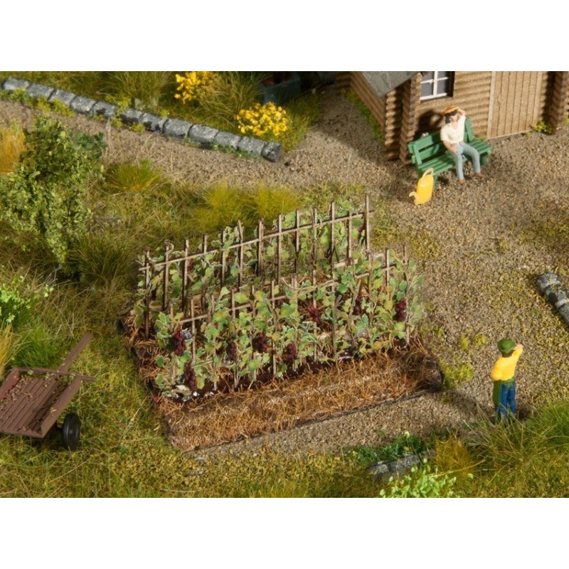 Viñas con uvas negras, 2 plantaciones, 3 x 6 cm 13224 NOCH Escala H0