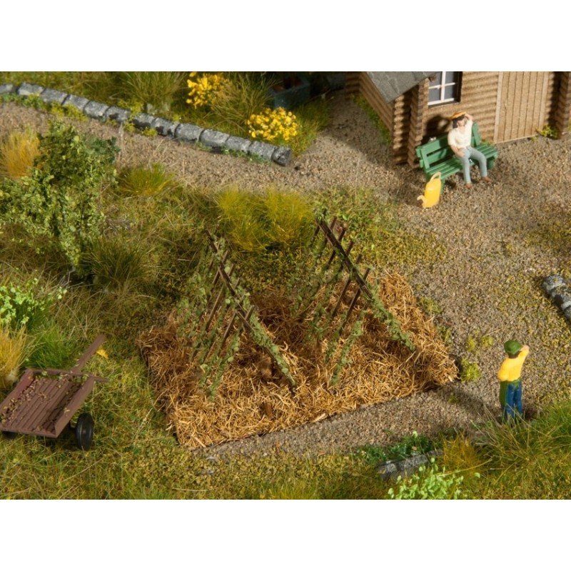 Zarzillo de judias, 2 plantaciones, 3 x 6 cm 13225 NOCH Escala H0