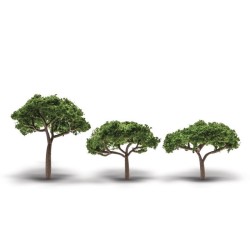 3 pinos piñoneros de 5 a 8,9 cm TR3555 Woodland Scenics