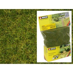 Hierba verde claro, mezcla 2,5 - 6 mm de largo, 50 gr. 07072 Noch