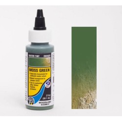 Tinte de agua verde musgo CW4521 Woodland Scenics