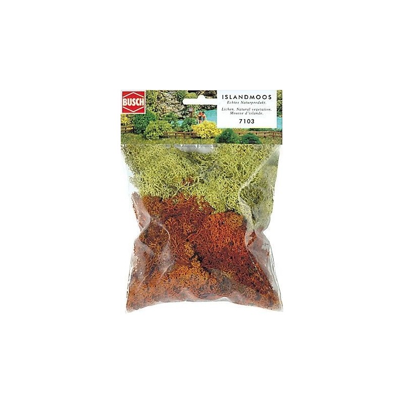 Liquenes (musgo) 7103 Busch