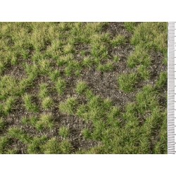 Cobertura de suelo con hierba credida verde verano 735-22S Mininatur Silhouette