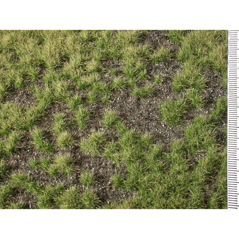 Cobertura de suelo con hierba credida verde verano 735-22S Mininatur Silhouette