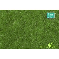 Extensión de prado verano 720-22S Mininatur Silhouette