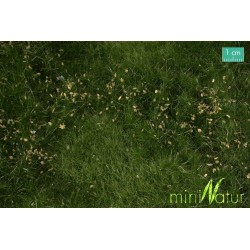 Extensión de prado con flores de verano 734-22S Mininatur Silhouette