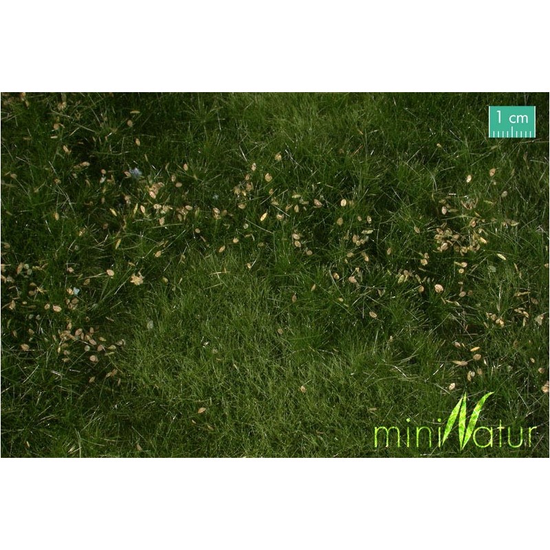 Extensión de prado con flores de verano 734-22S Mininatur Silhouette