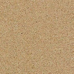 Balasto beige 7060 Busch
