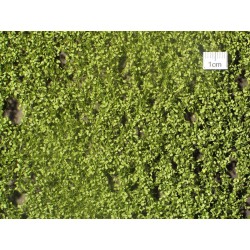 Hojas de haya primavera 920-21S Mininatur Silhouette Escala H0