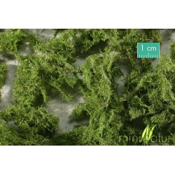 Cobertura vegetal para el suelo 993-22S Mininatur Silhouette
