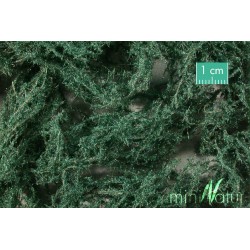 Cobertura vegetal para el suelo verde oscuro 996-22S Mininatur Silhouette