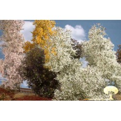 Arbustos de filigrana floración primaveral 200-15S Mininatur Silhouette