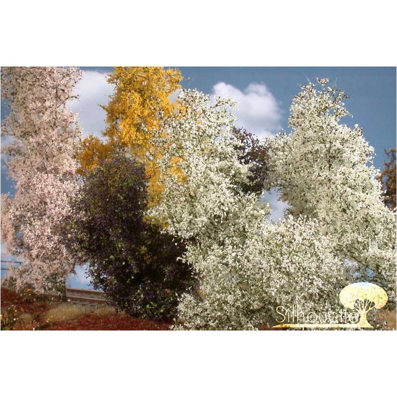 Arbustos de filigrana floración primaveral 200-15S Mininatur Silhouette