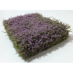 Mata de arbusto con flores violetas 250-49 Mininatur Silhouette