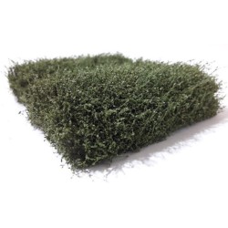 Mata de arbusto abedúl 250-52 Mininatur Silhouette