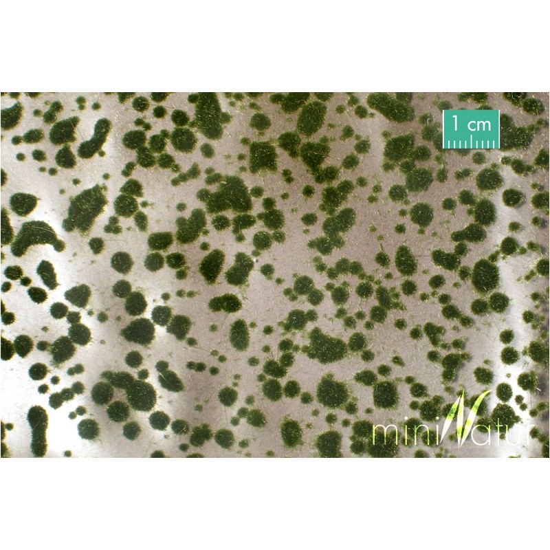 Mechones de musgo verano 747-22S Mininatur Silhouette