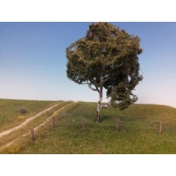 Abedúl de 14-16 cm 210-42 Mininatur Silhouette