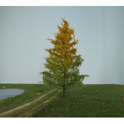 Alerce principio otoño de 10-13 cm 279-43 Mininatur Silhouette