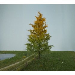 Alerce principio otoño de 16-20 cm 279-53 Mininatur Silhouette Escala H0