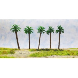 5 palmeras de 7 cm 481 Aneste