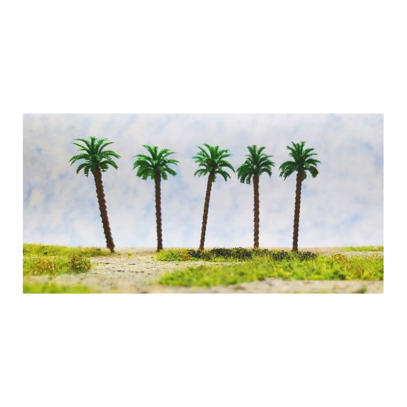 5 palmeras de 70 mm 481 Aneste