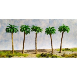 5 palmeras de 12 cm 480 Aneste