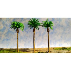3 palmeras caribe de 16 cm 460 Aneste