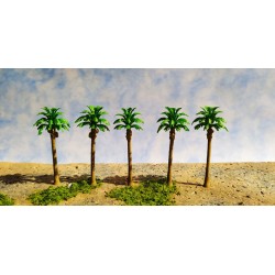 5 palmeras caribe de 6 cm 462 Aneste