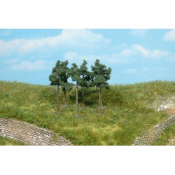 6 pinos de 6 cm 1152 HEKI