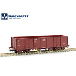 Vagón de mercancías abierto CP Eaos S596021 Sudexpress Escala H0
