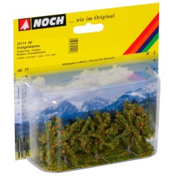Naranjos 25114 NOCH