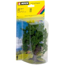 Roble 25860 NOCH