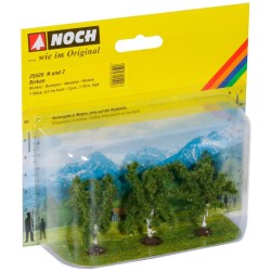 Abedules de 25520 NOCH