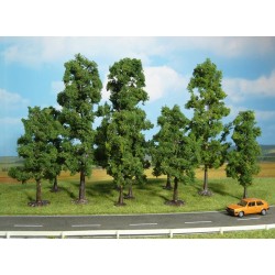 10 hayas de 10 a 18 cm 1323 HEKI