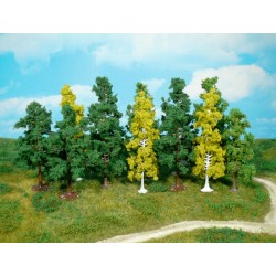 12 árboles de 7 a 12 cm 1410 HEKI