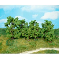 14 árboles de 14 a 16 cm 1414 HEKI